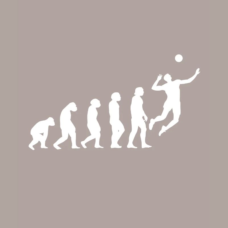 Evolution du volleyball