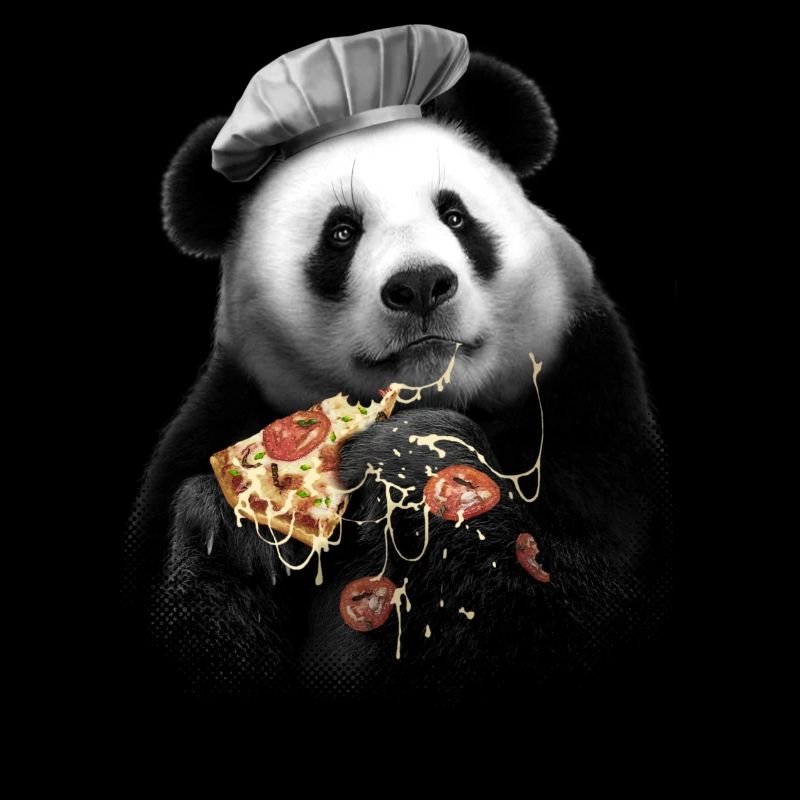 PANDA PIZZA