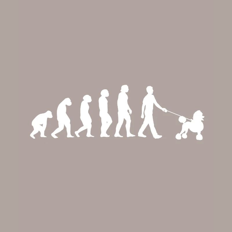 Caniche Evolution
