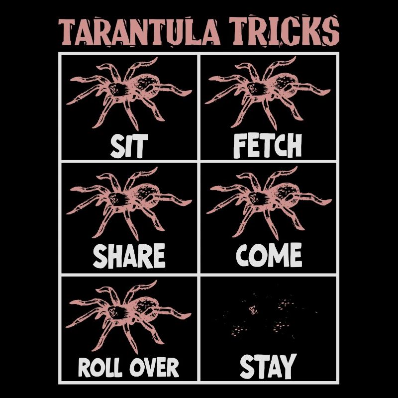 Tarentule éleveur araignée propriétaire tarentule