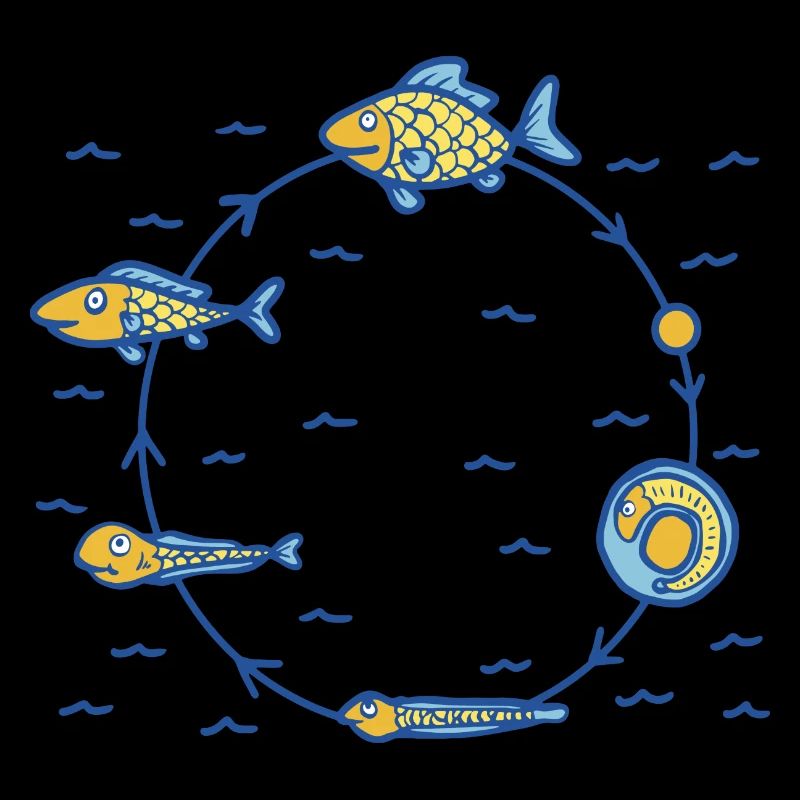 Fish Life Cycle