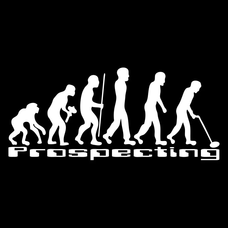 Evolution détecteur de métaux.