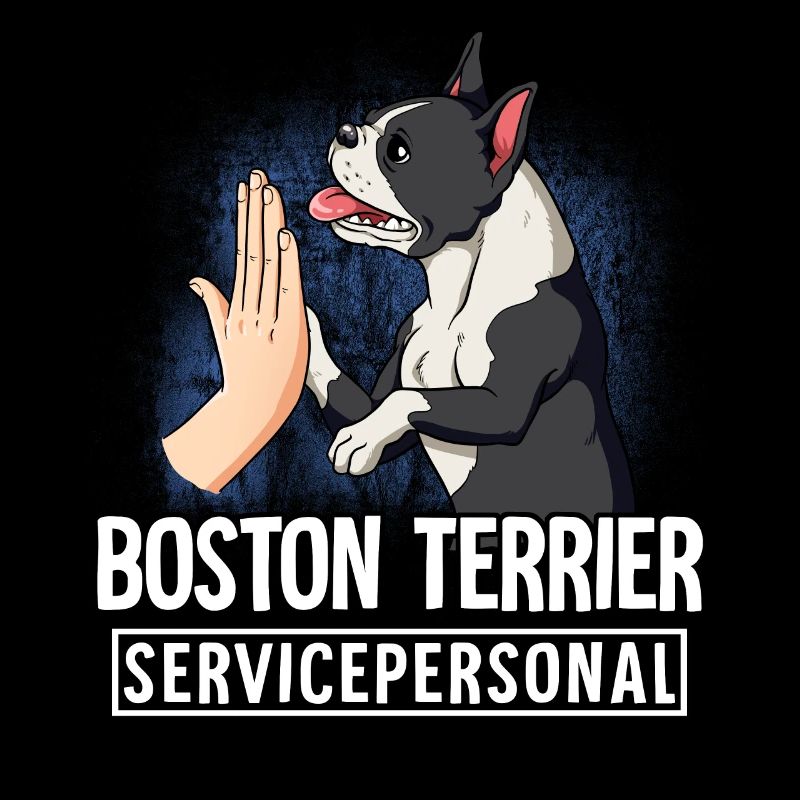 Boston Terrier