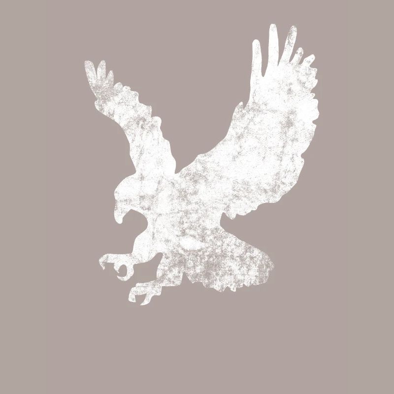 Greifvogel Vogel beobachten