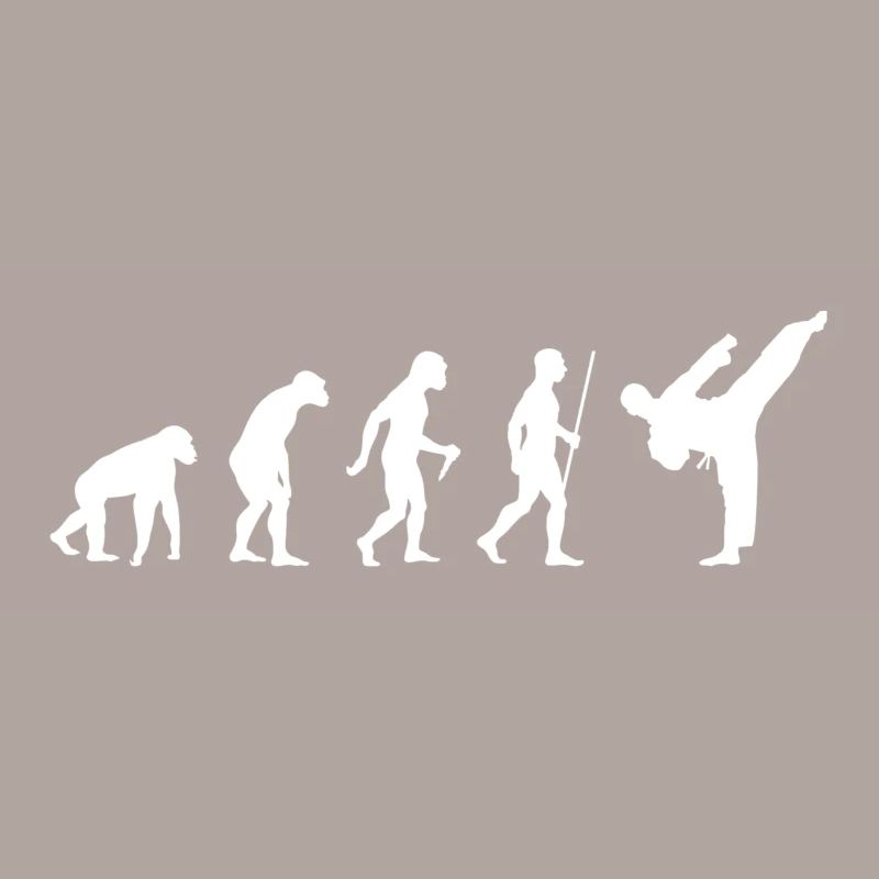 2563 Evolution Karate