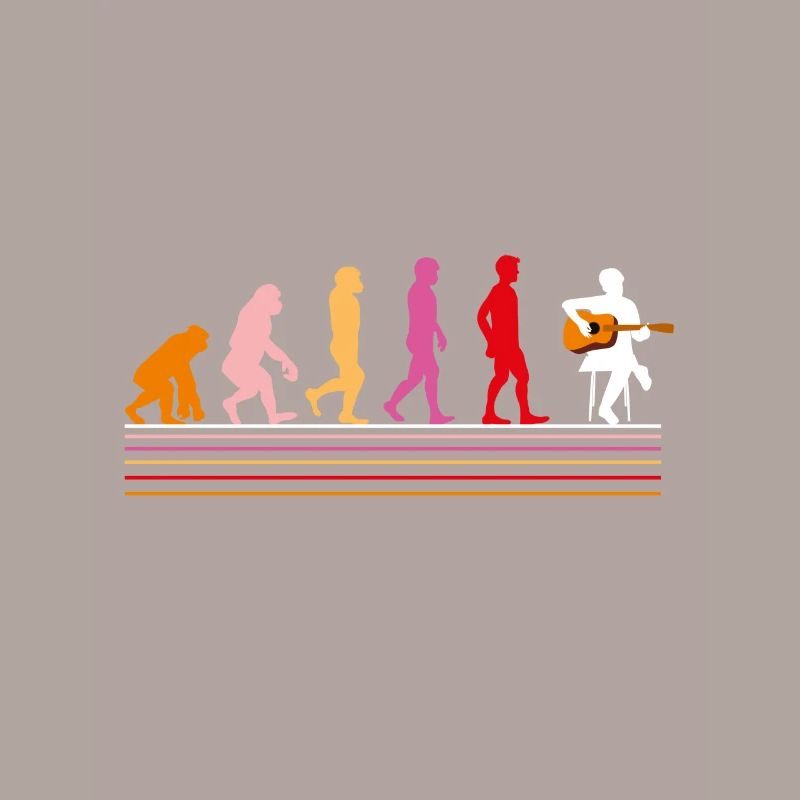ÉVOLUTION DE LA GUITARE