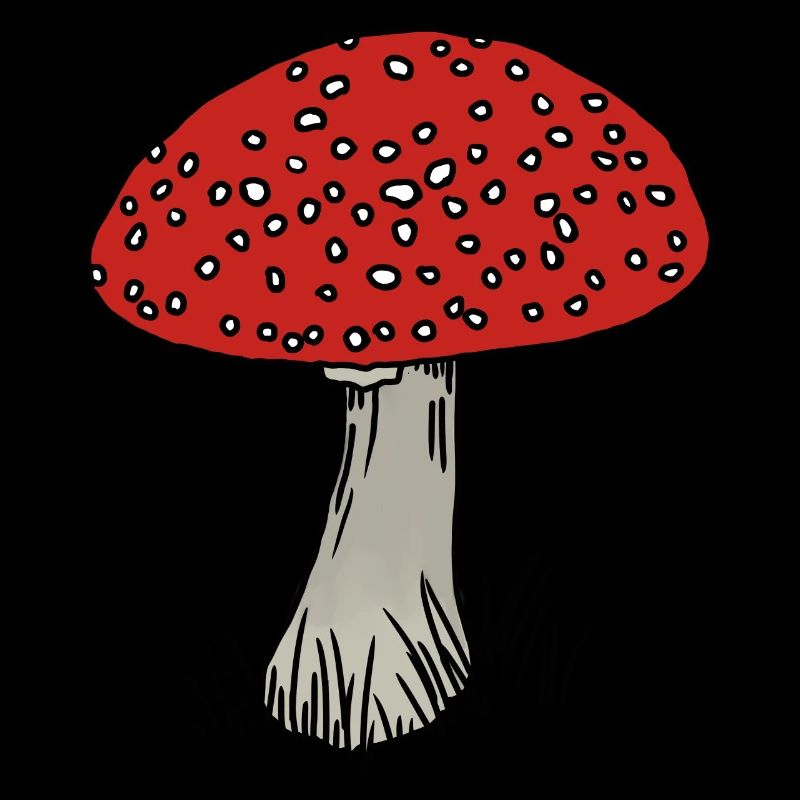 Toadstool coloré