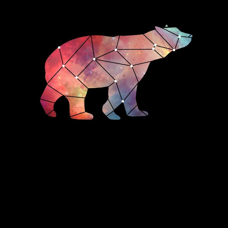 Bear Constellation
