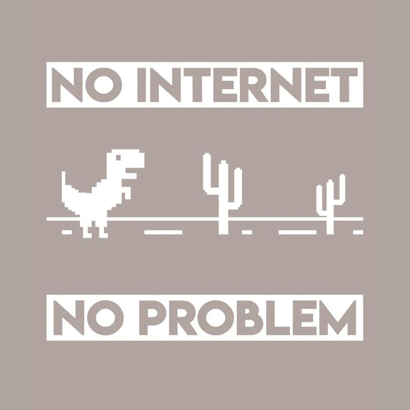 No Internet no Problem programmer humor