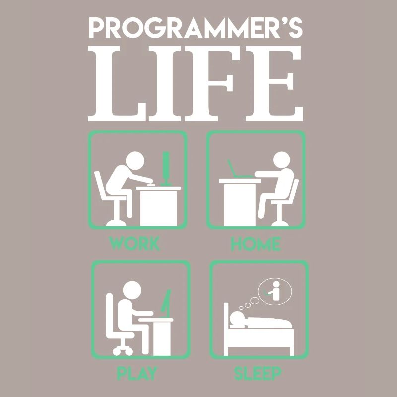 Programmer s life work home play sleep