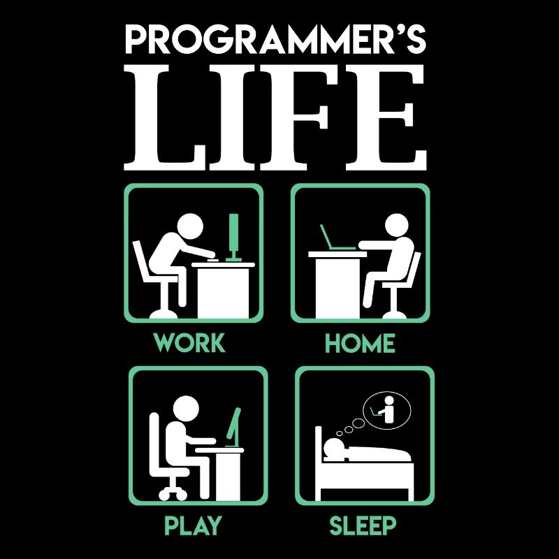 La vie du programmeur travail à la maison jouer dormir