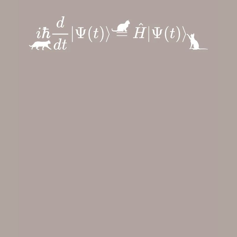 Schrodinger cats math and physics formula equation