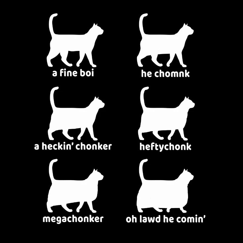 Lustiger Katze Meme Chonk