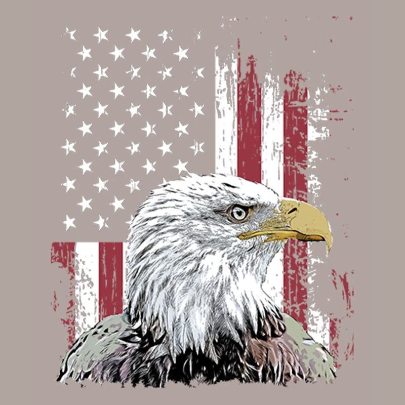Independence Eagle American Flag Eagle