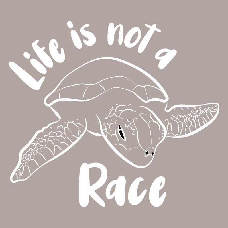 Turtle Turtle