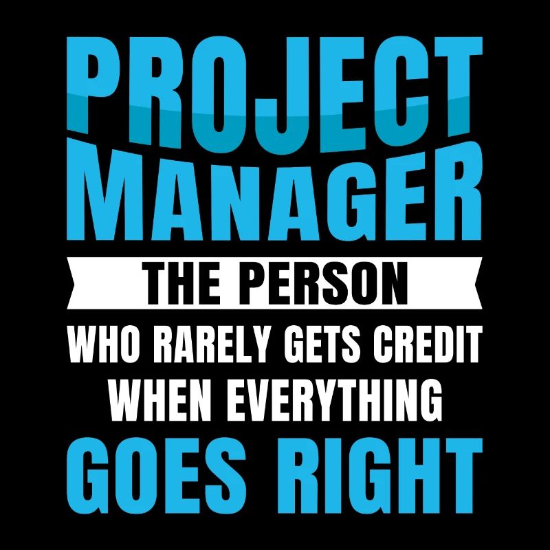 Project Manager