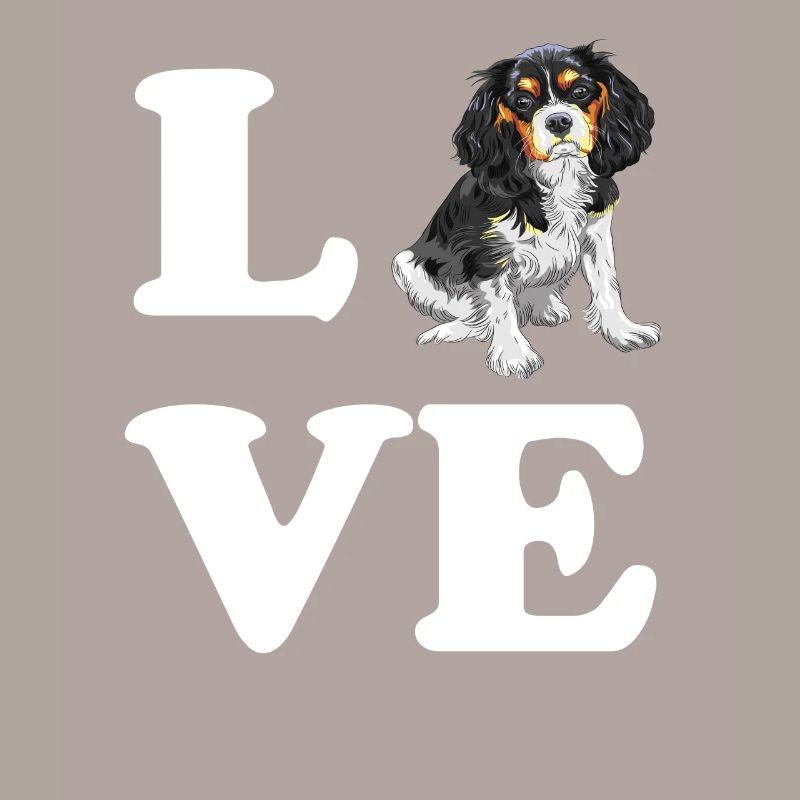 Cavalier King Charles Spaniel