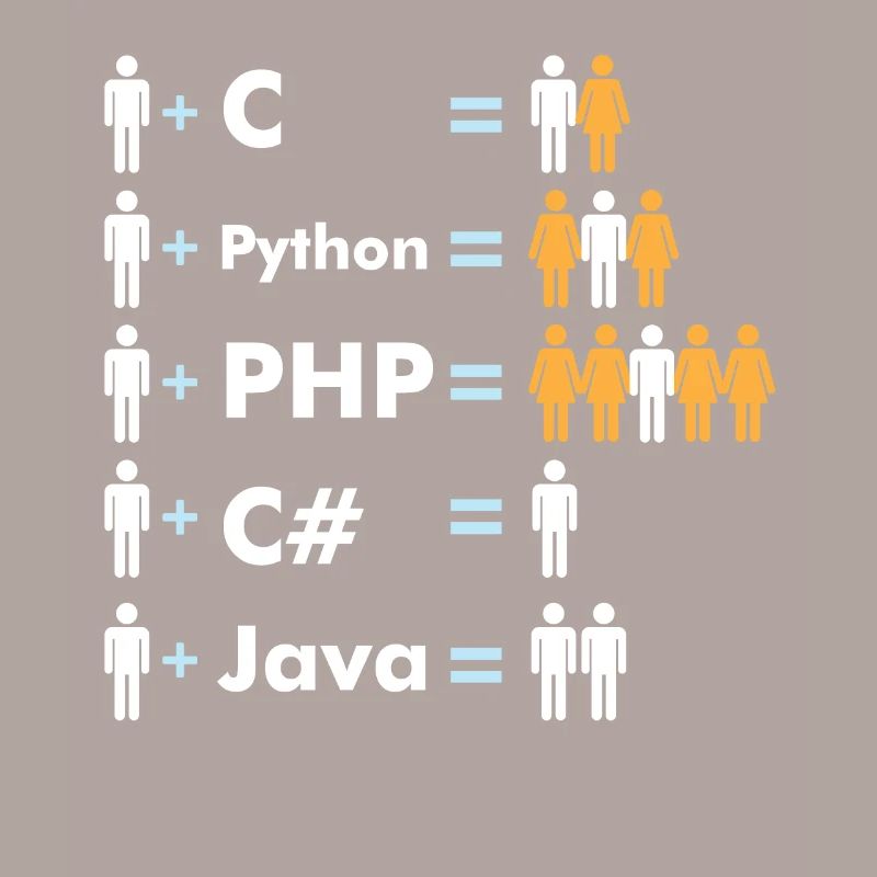 C Python Php Java Programmierer Coding