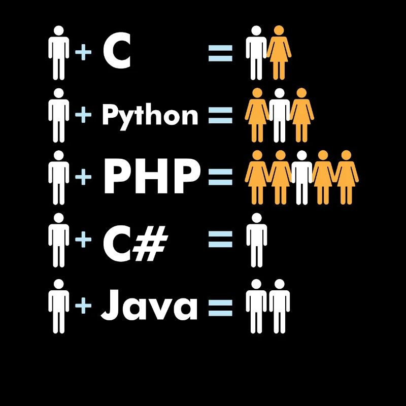 Codage du programmeur Java C Python Php