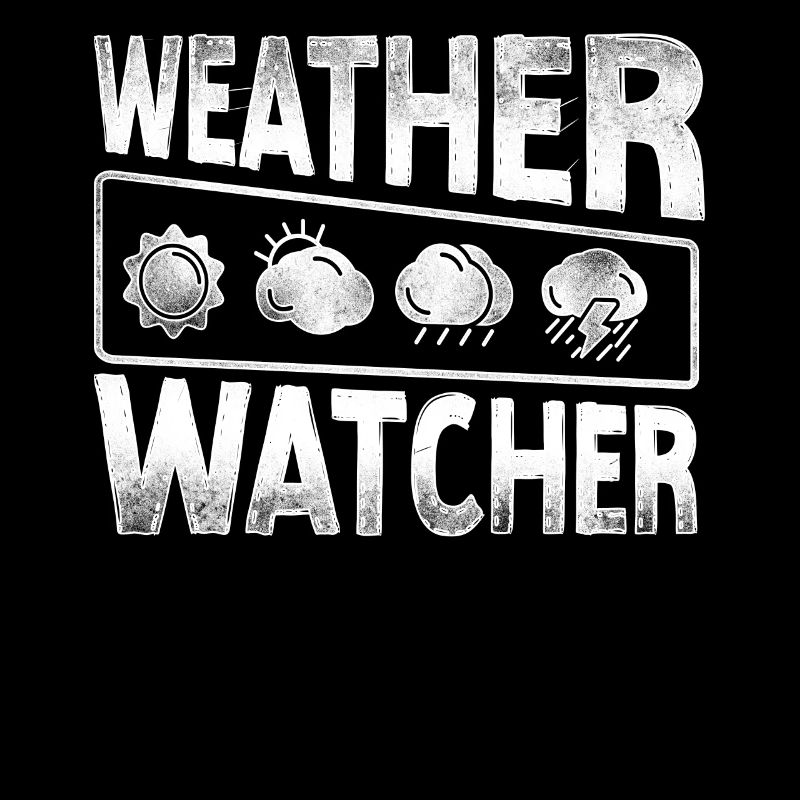 Meteorologist Weather Forecast