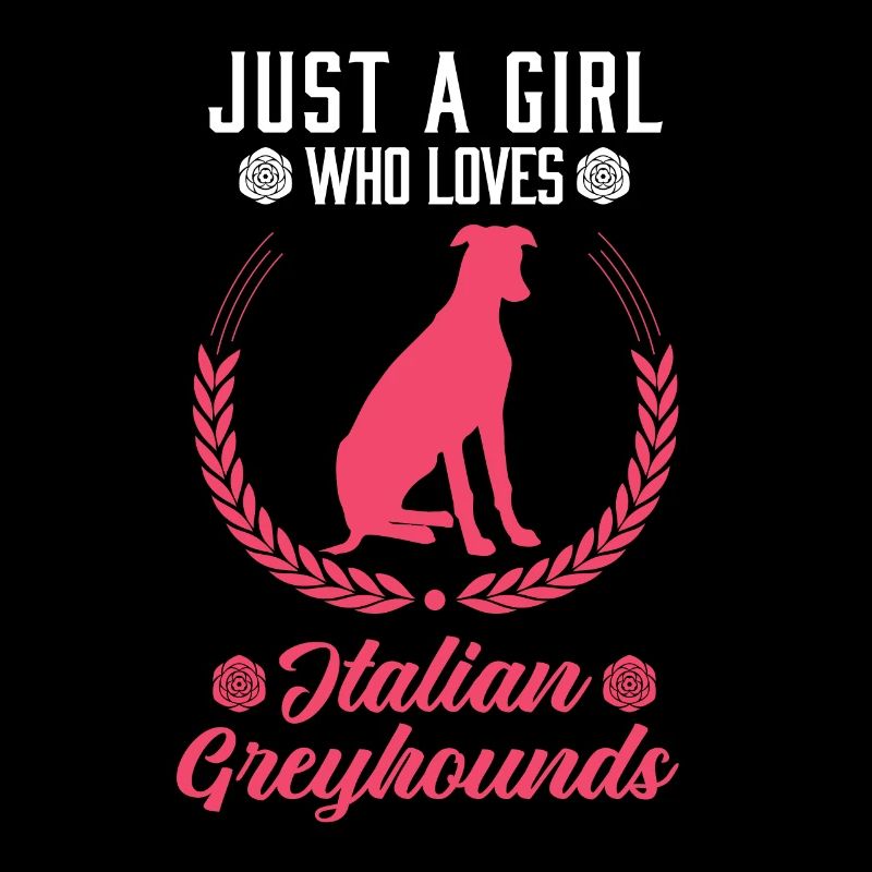 Italienischer Windhund Mädchen