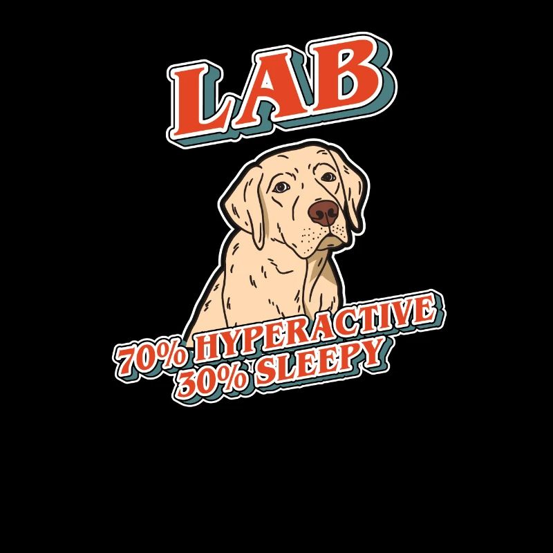70% Hyperactif 30% Sleepy Golden Labrador