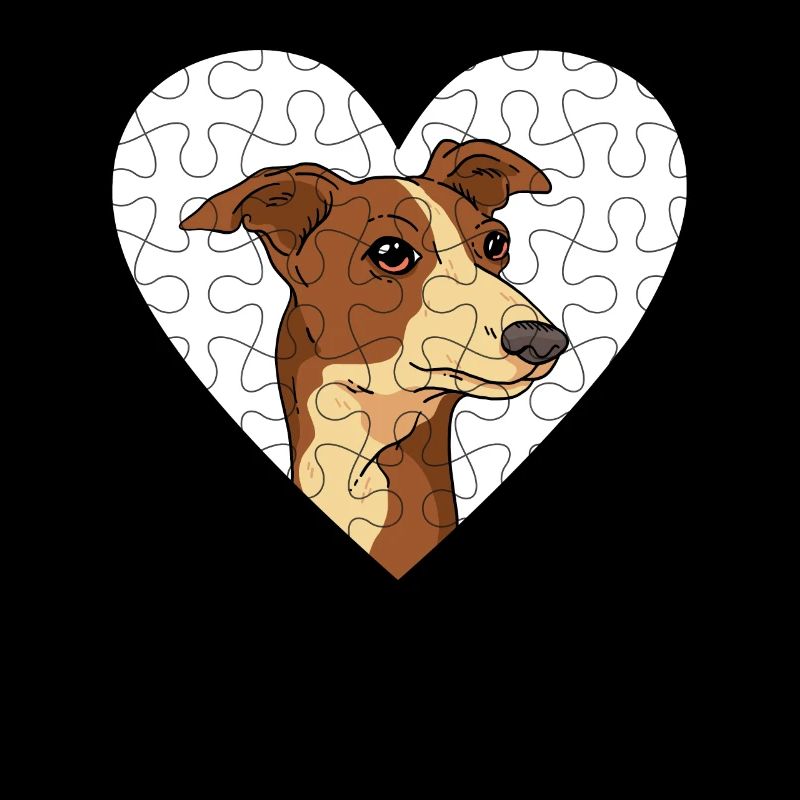 Whippet