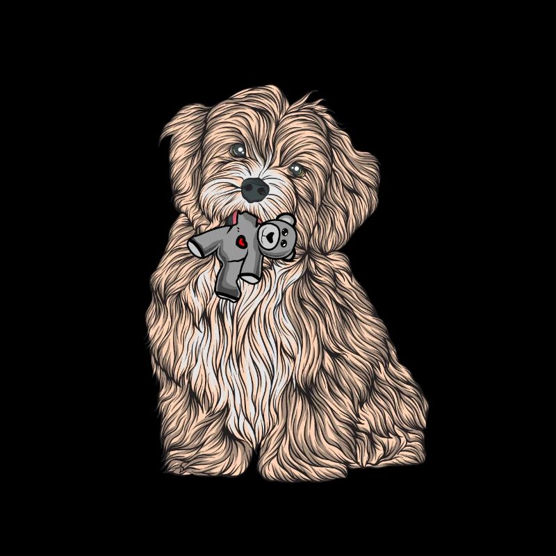 Havanese
