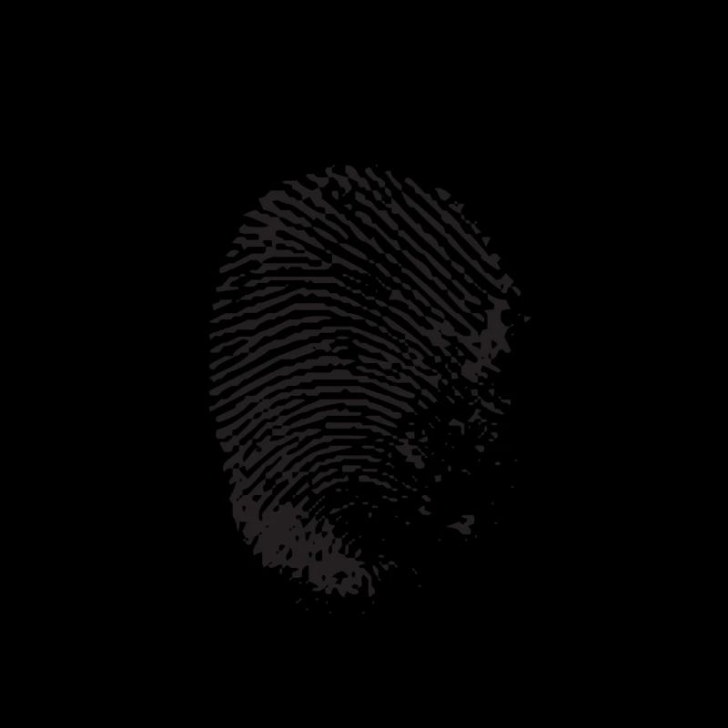 Walter & Wallis - Psy 16