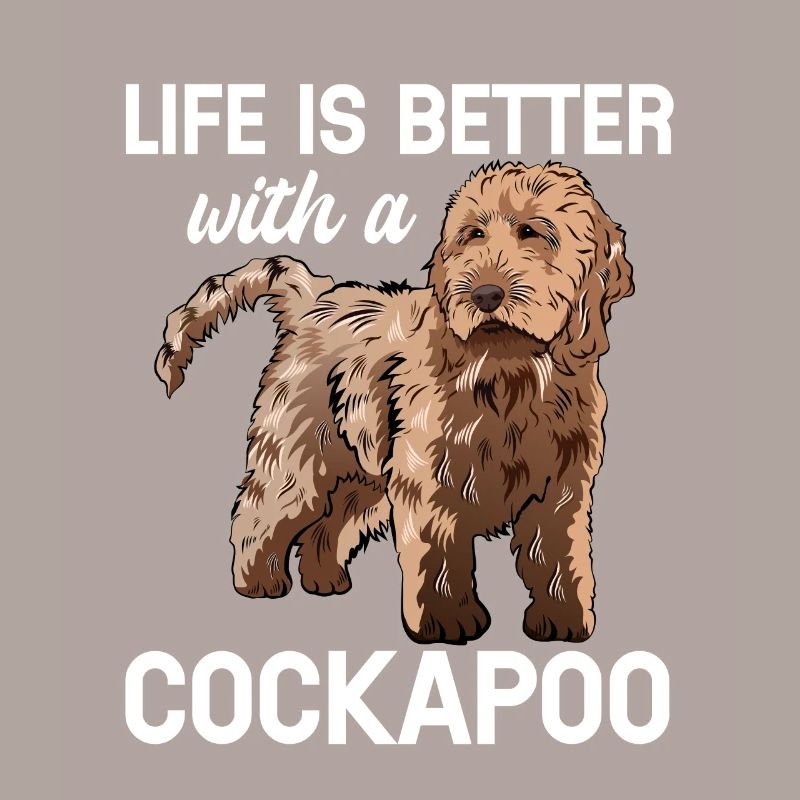 Cockapoo Chien