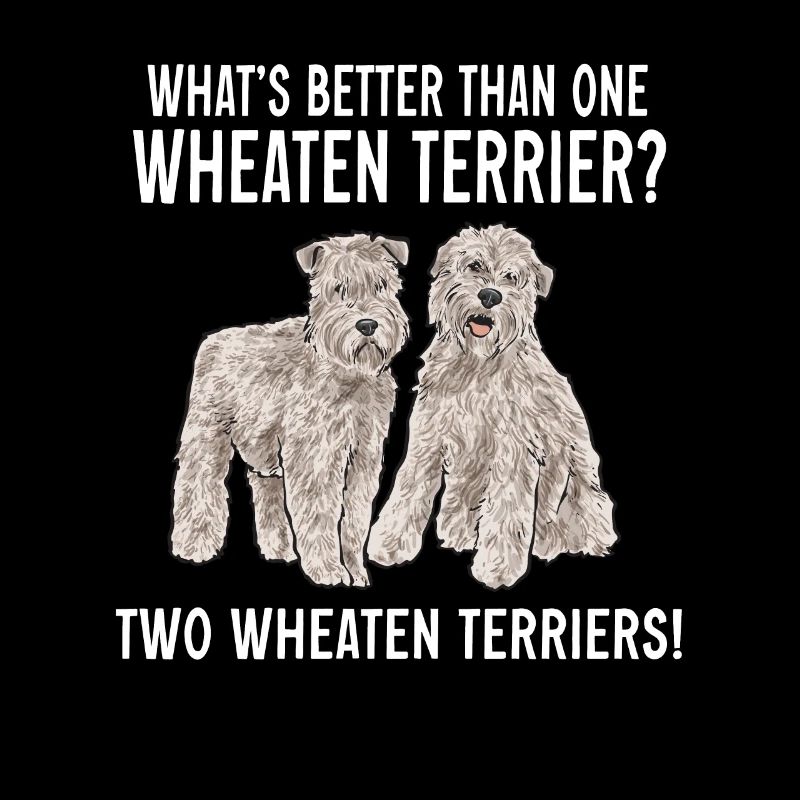 Irish Soft Coated Wheaten Terrier