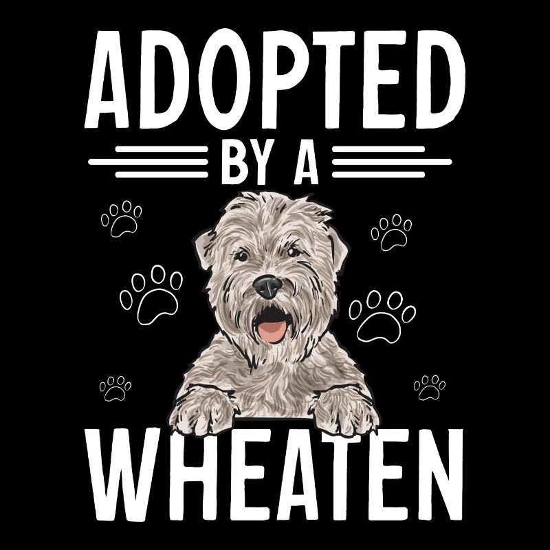 Irish Soft Coated Wheaten Terrier