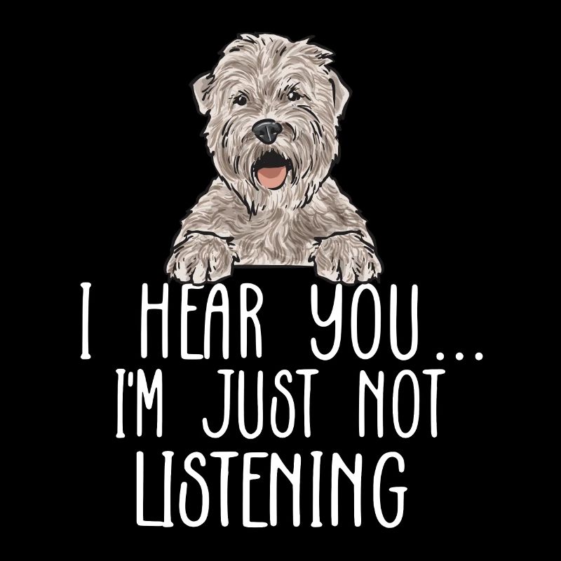 Irish Soft Coated Wheaten Terrier