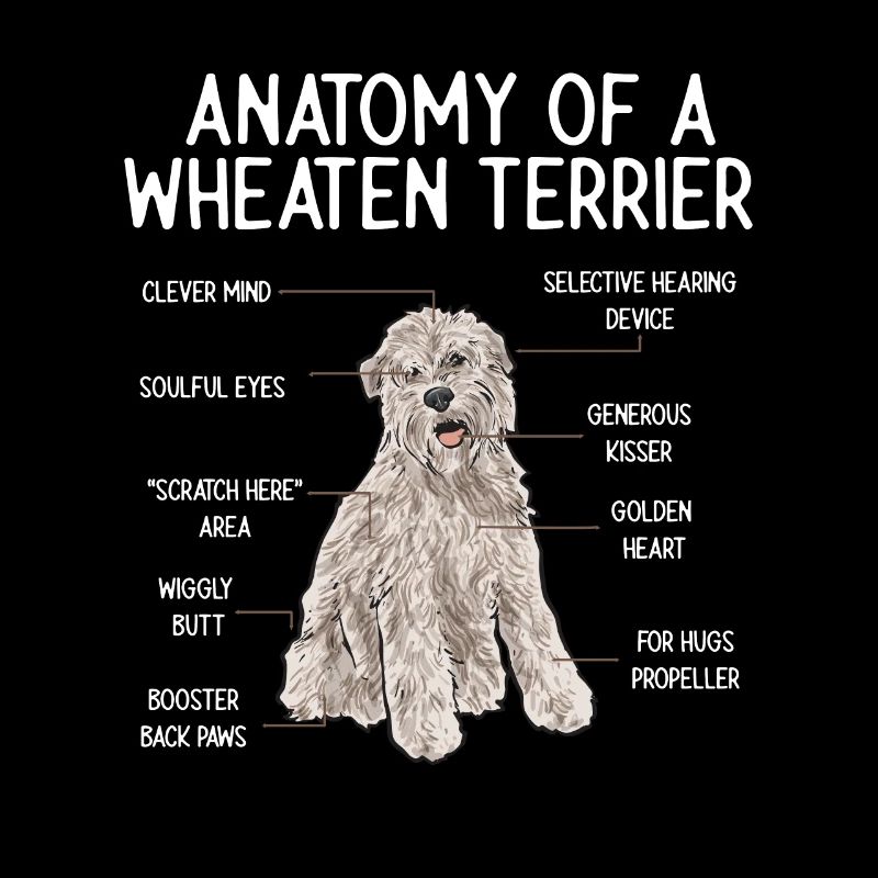 Irish Soft Coated Wheaten Terrier
