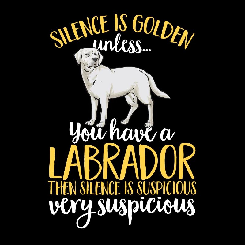 Labrador Retriever blanc Labrador Labrador blanc