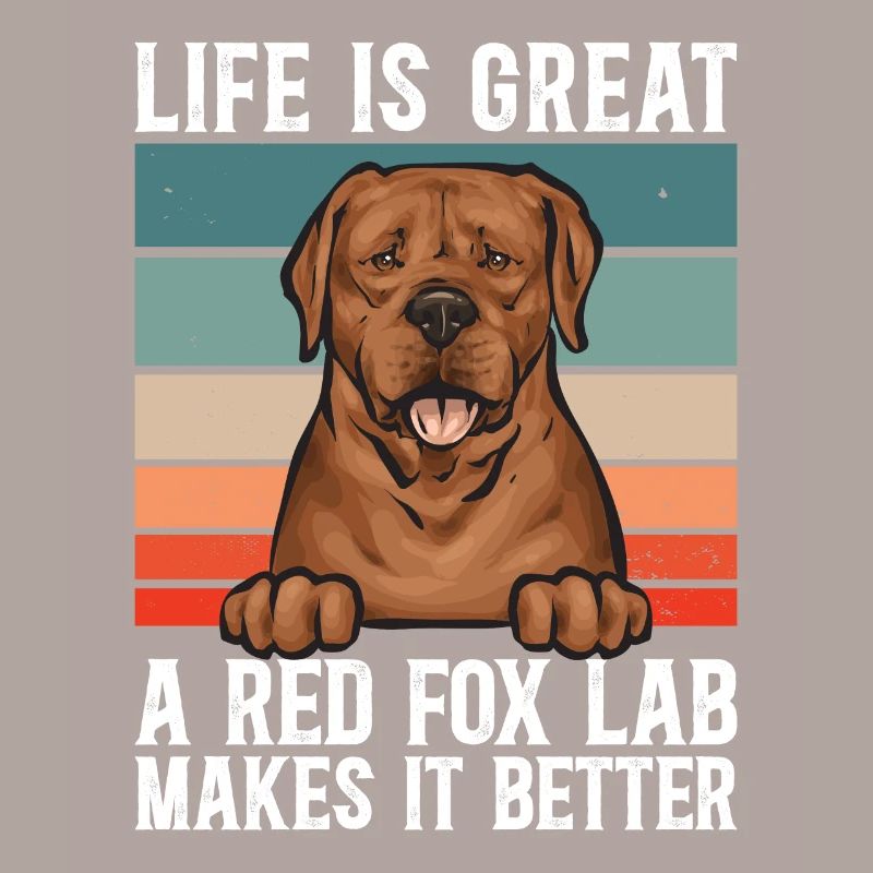 Fuchsroter Labrador Retriever Fox Red Labrador
