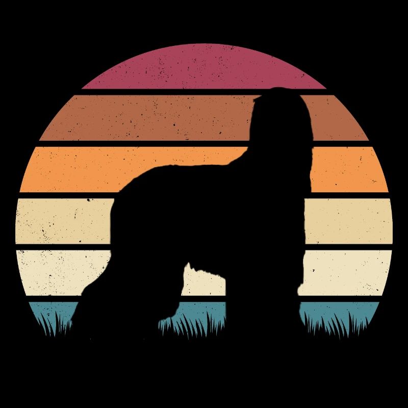 Afghanischer Windhund Vintage Premium