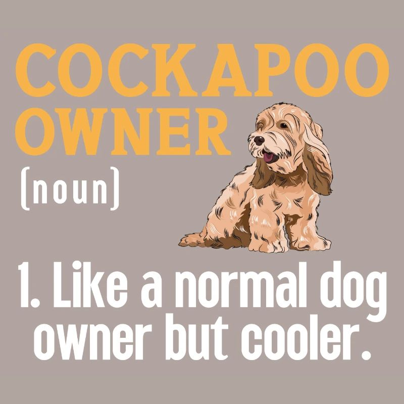 Cockapoo Hund
