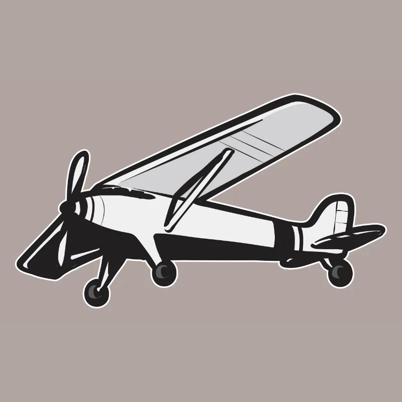 Modèle d’avion télécommandé