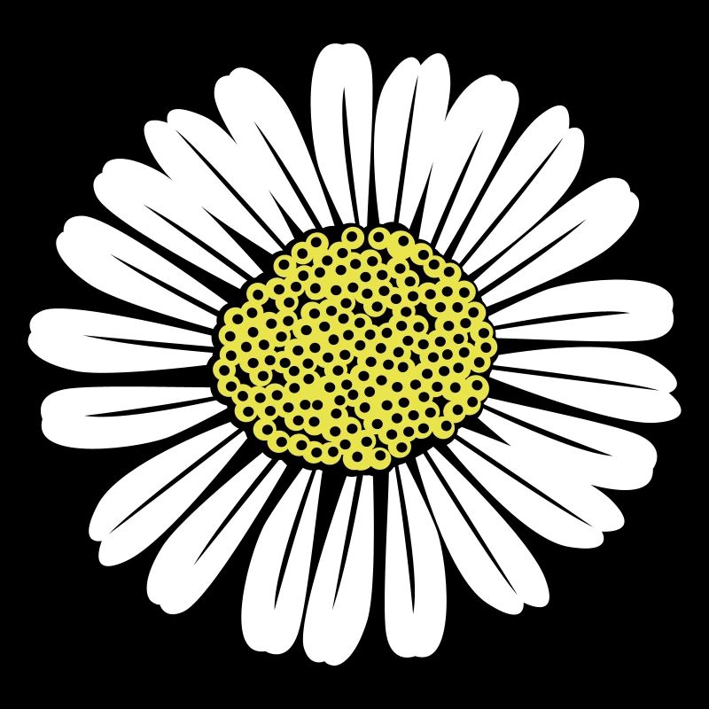 Gänseblümchen