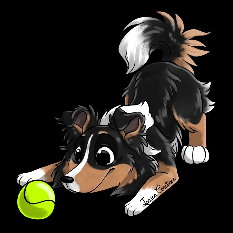 Le plus mignon Shetland