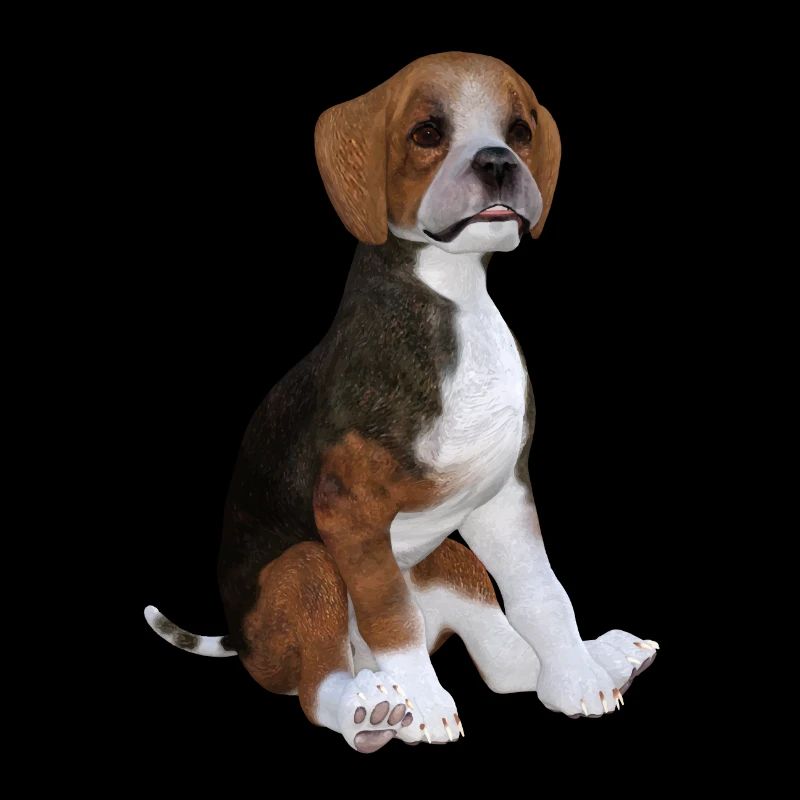 Beagle Welpe