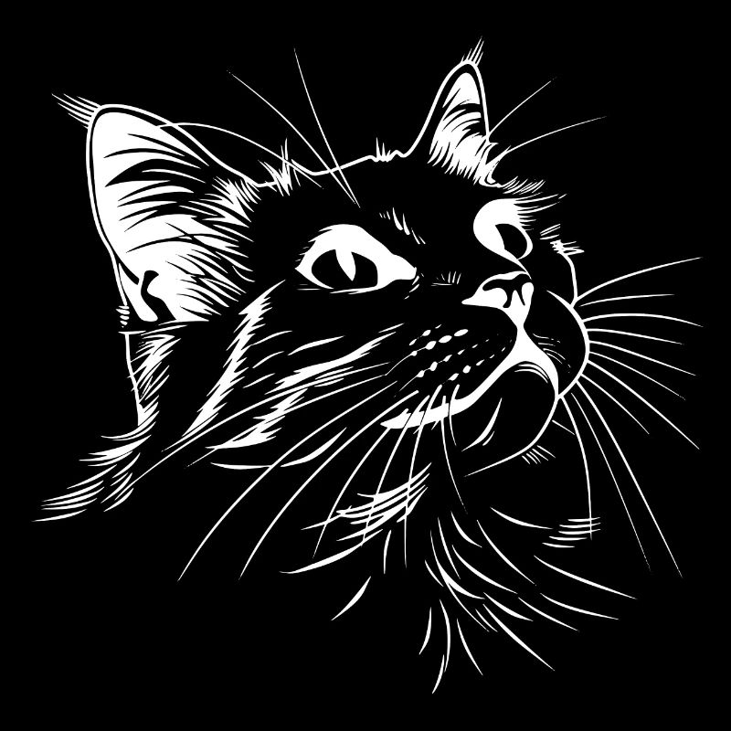 Chat, Motif De Chat, Visage De Chat