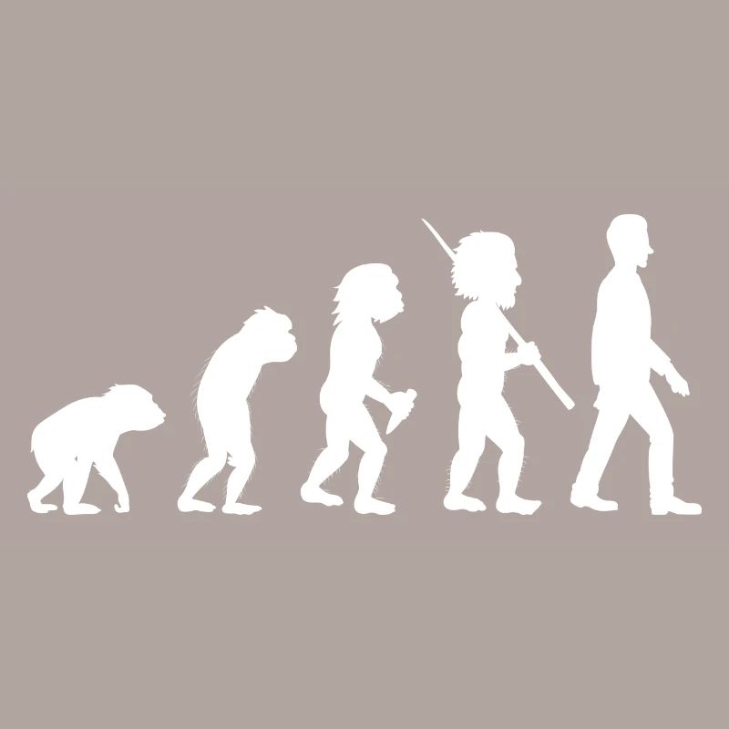 Evolution, development, job, office