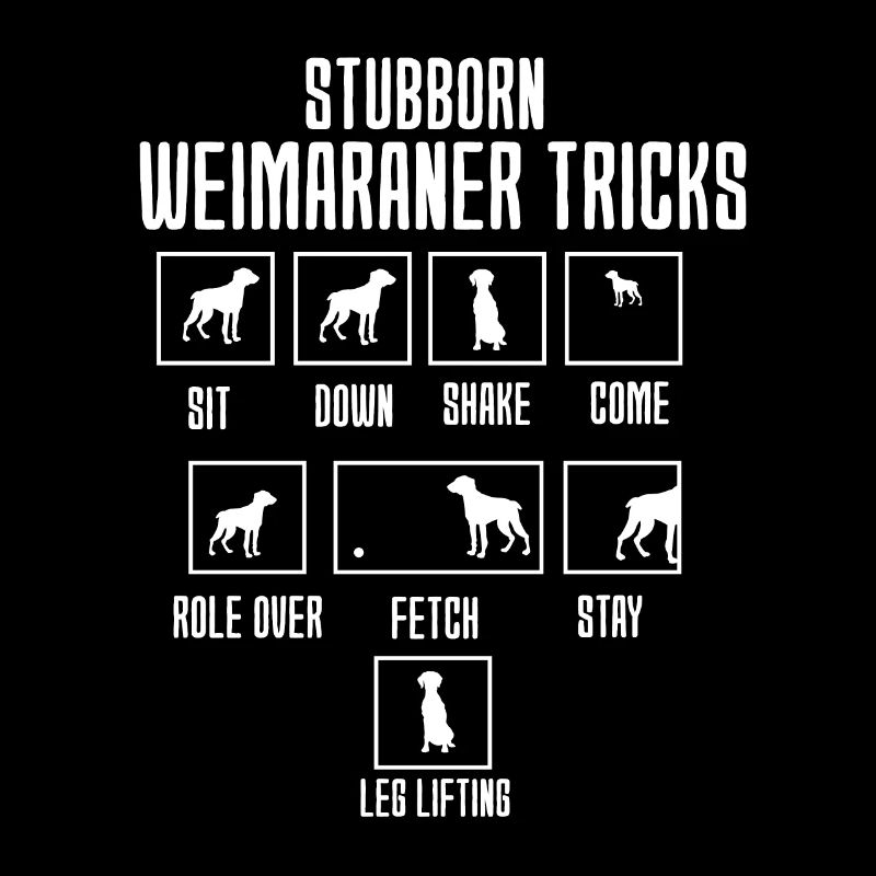 Weimaraner