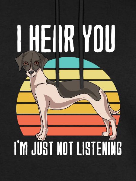 Whippet
