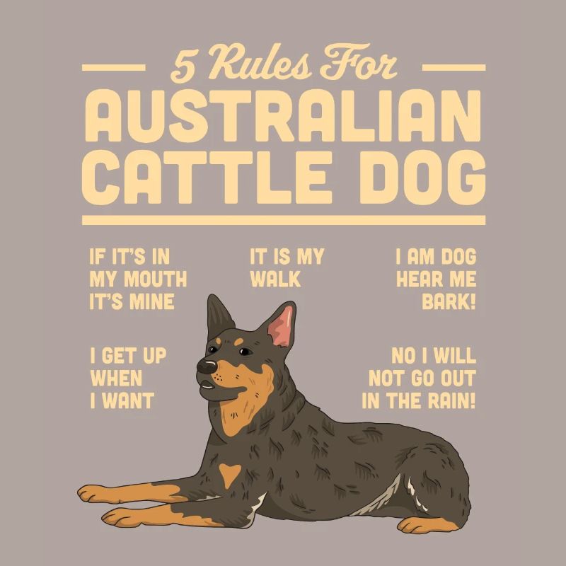 Australian Cattle Dog