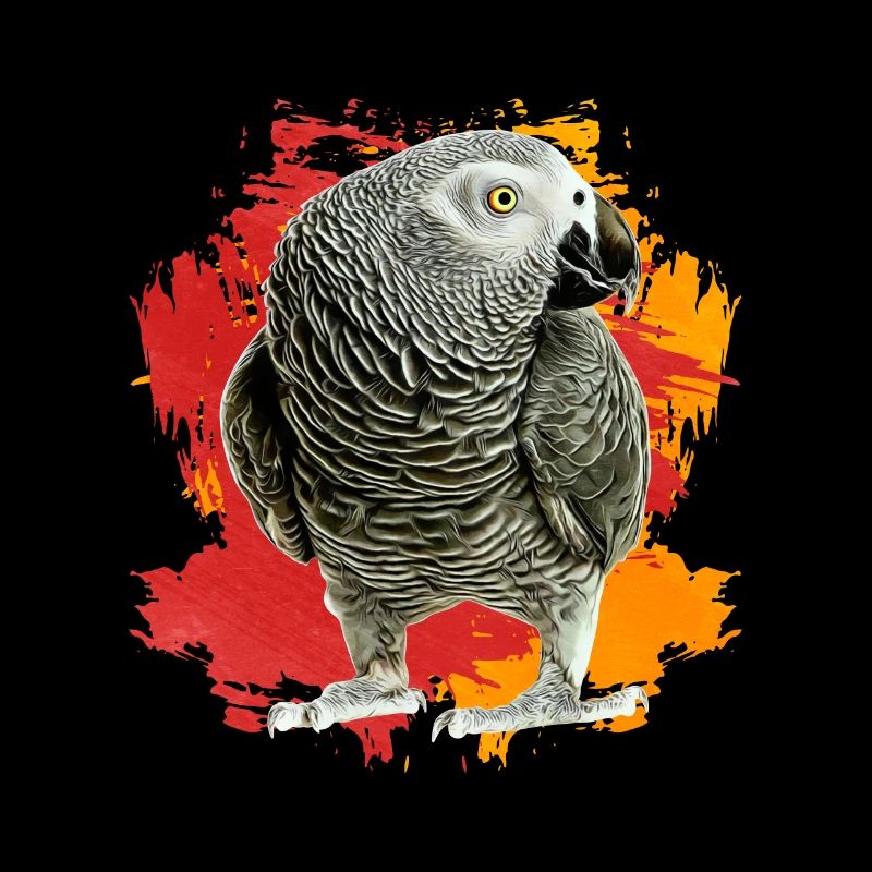 African Grey Parrot Gift