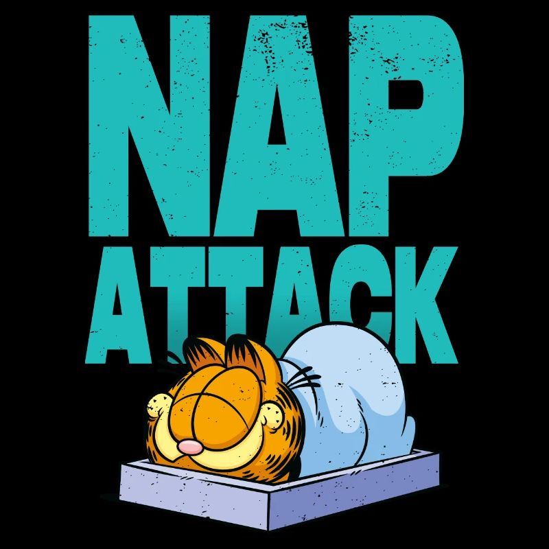 Garfield Mittagsschlaf Nap Attack