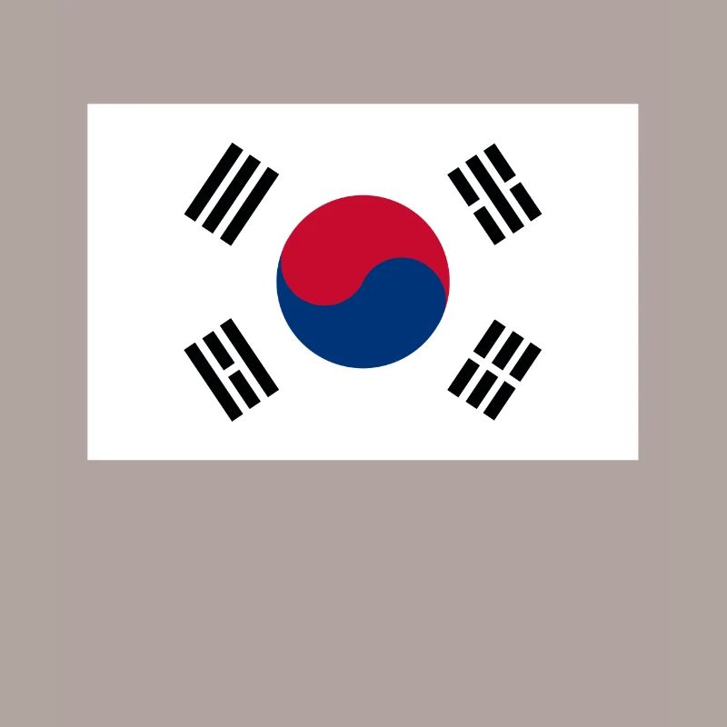Corée du Nord drapeau de la Corée du Sud cadeau Corée